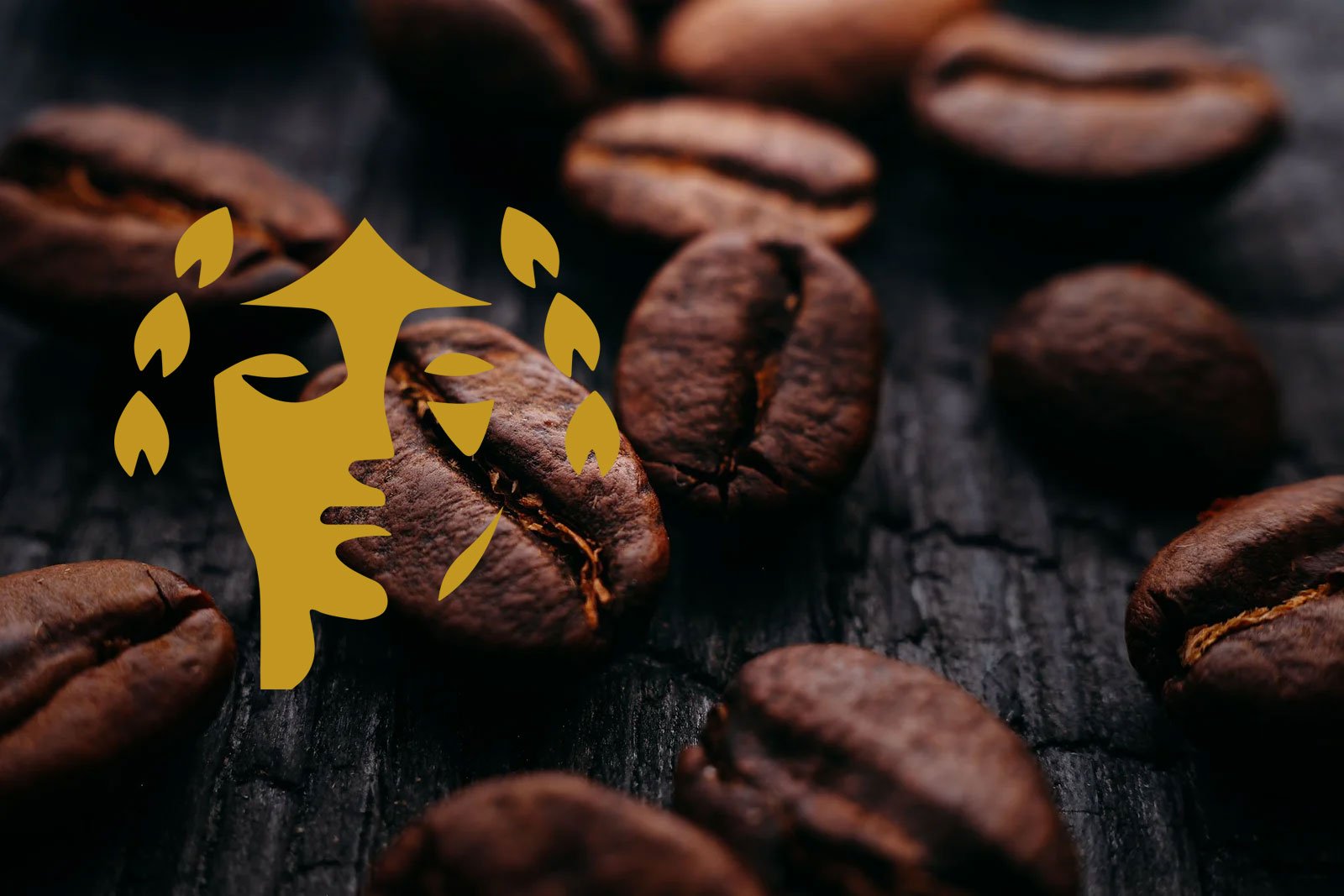 Coffee & Chocolate